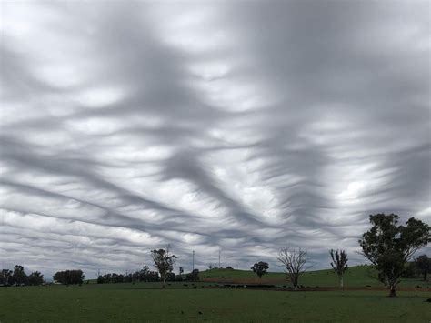 Beautiful Undulatus Asperatus Clouds Seen In Australia The Washington