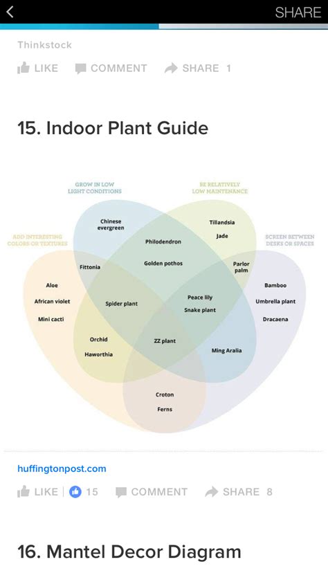 Houseplant Plant Moisture Level Chart