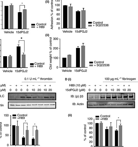 Inhibition Of Cyclic Dependent Protein Kinase Pka Activity