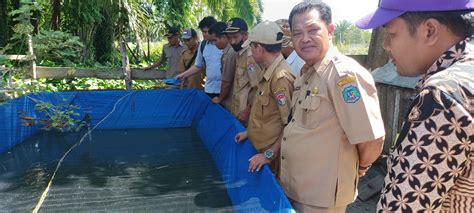 Pemdes Pasar Baru Gelar Monev Ketahanan Pangan Budidaya Ikan Lele Kabar Bengkulu