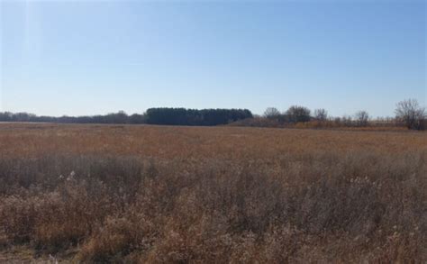 North Washington, Iowa, Alta Vista, IA 50603 - Land for Sale - 39 ± Acres North Washington, Iowa