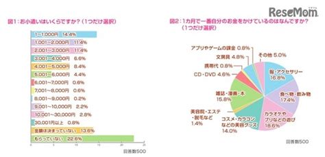 女子中高生の約8割、服やアクセなどネットで買い物 Push On Mycar Life