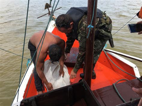 Operação Cabo Orange 4 Exército apreende no Amapá combustíveis armas