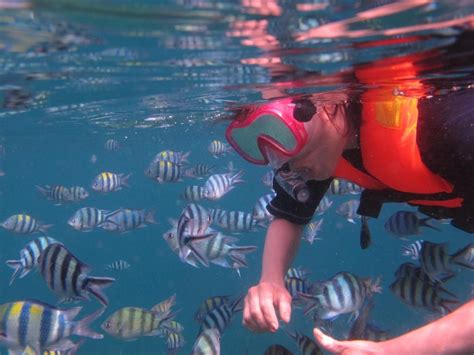 3D2N THE BARAT TIOMAN Snorkelling Package Tioman Island Malaysia