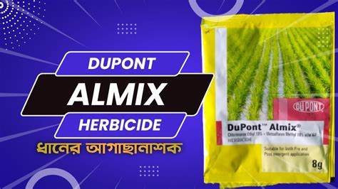 DuPont Almix Chlorimuron Ethyl Metsulfuron Methyl ধনর আগছনশক