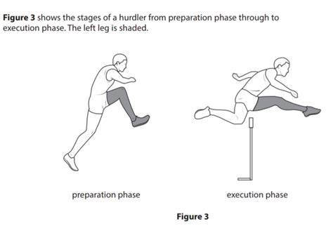 Diagram Of Analyse The Required Movement Of The Trunk Left Knee And