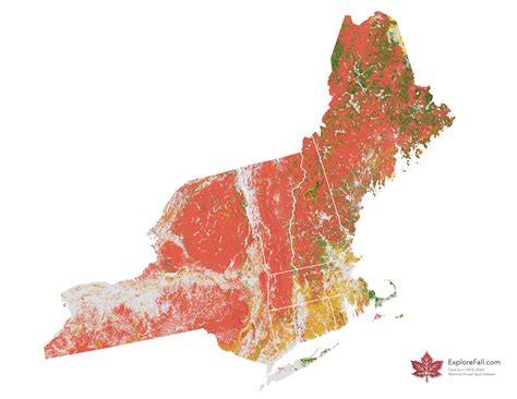 Fall Colors by Forest Type