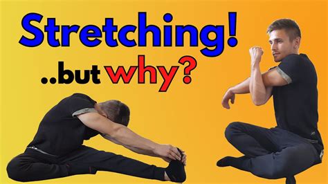 Why Stretching Is Good For Your Body The Science Behind Stretching