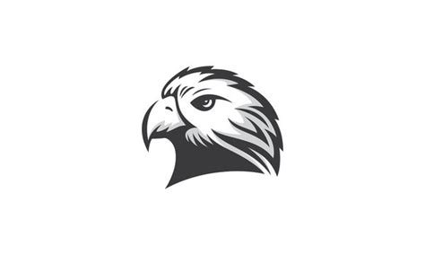 Hawk Vector Logo