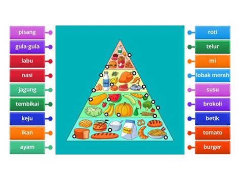 Piramid Makanan Labelled Diagram