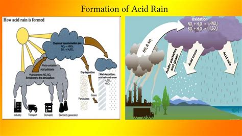 Acid Rain Definition Causes Sources Formulas Effects And Controls