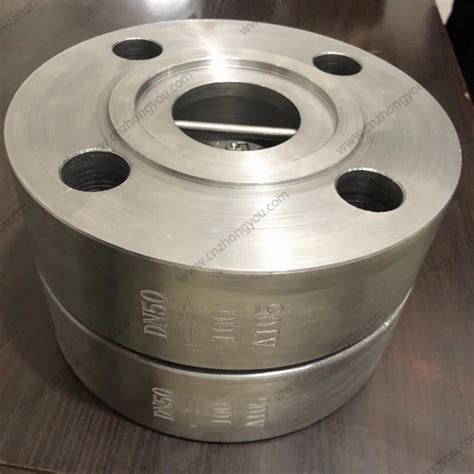 Forged Steel Lug Wafer Check Valve Dn Pn Astm A Body Ca