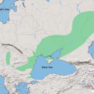 Grave with typical elements of the Yamnaya Culture, found in the... | Download Scientific Diagram