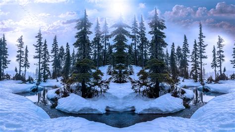 Winter Forest By Annemaria48 On Deviantart