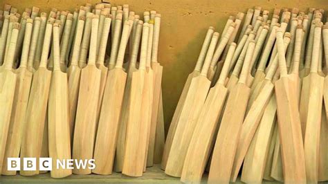 The Indian town where cricket bats are made - BBC News