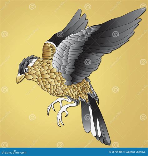 Vogel Mit Gelben Bauch 5
