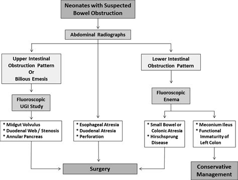 Neonatal And Pediatric Bowel Obstruction Radiology Key