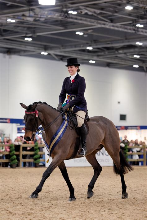 Rising Stars Series British Show Horse Association