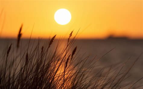 Sunset Beach Grass Wallpapers Top Free Sunset Beach Grass Backgrounds