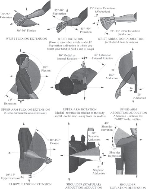 [PDF] CHAPTER 32 DESIGN OF ARTIFICIAL ARMS AND HANDS FOR PROSTHETIC ...