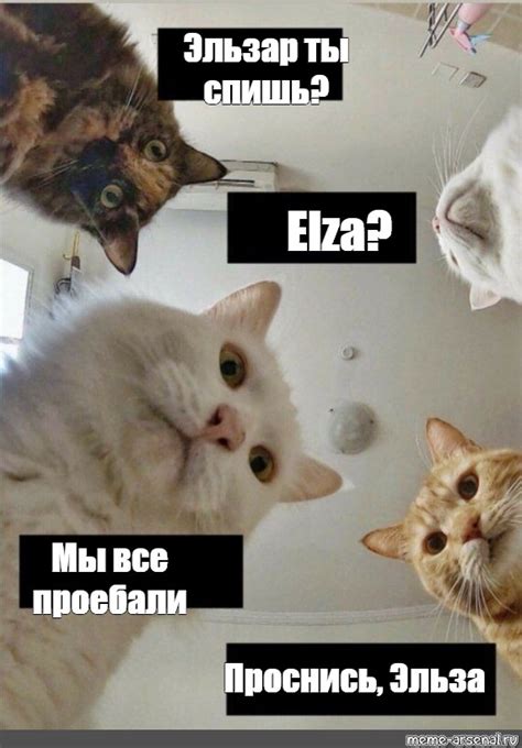 Meme Эльзар ты спишь Elza Мы все проебали Проснись Эльза All