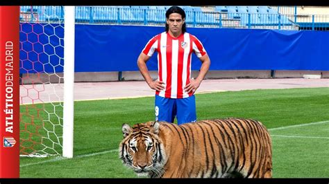 Un Tigre Anda Suelto En El Vicente Calderón A Tiger On The Loose