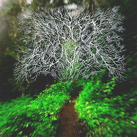 Alone and Forgotten | Mood Hoover