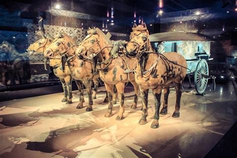 Private Half Day Tour Of Xi An Terracotta Warriors 2024 Xian