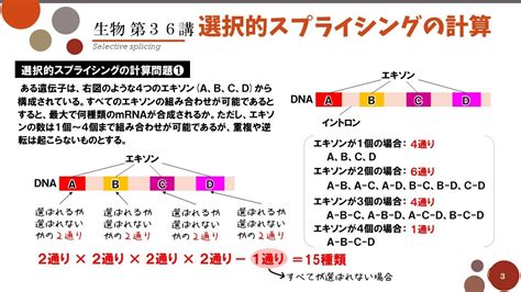 Mrna Mrna Youtube