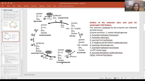 Rtca Cycle Youtube