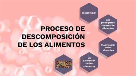 Descomposicion De Los Alimentos