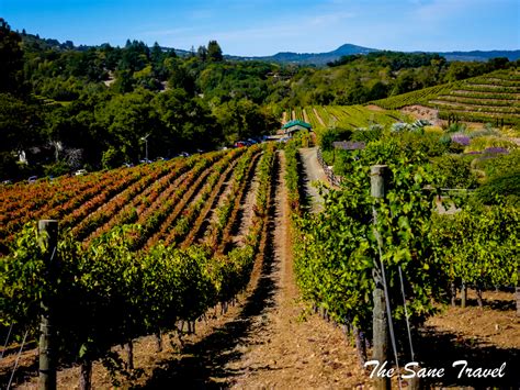 Sonomaandnapa Wineyards