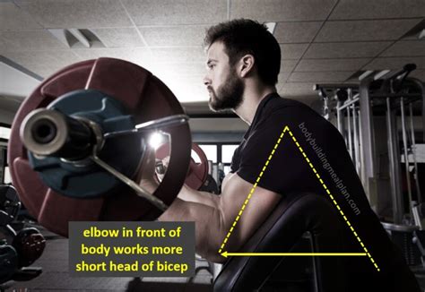 3 Steps To Wider Biceps Training Tips Exercises And Workout