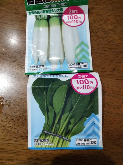 秋冬野菜の種まき 日々の移ろい