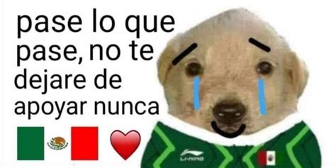 Te Quiero Mucho Memes Del Perrito Que Apoyan A México En Tokio 2020