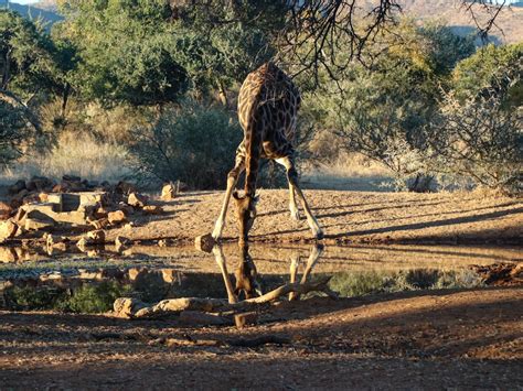 Cultura Limpopo Fotos Baixe Imagens Gratuitas Na Unsplash