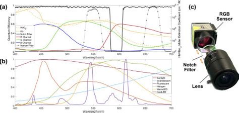 A The Absorption Spectrum Of Hbo 2 2 And Hb Given By [27] The Download Scientific Diagram