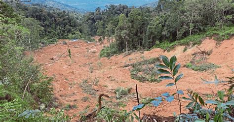 Tanah Runtuh Sam Gesa Tubuh Suruhanjaya Siasatan Berita Harian