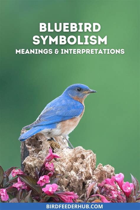 Bluebird Symbolism | Blue bird, Meant to be, Symbols