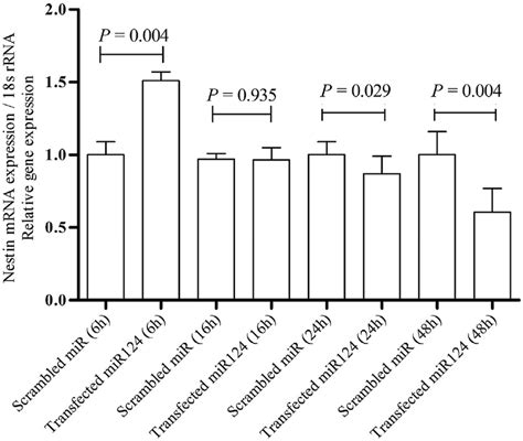 Qrt Pcr Analysis Of Nestin Mrna Expression In Dpscs Post Transfection