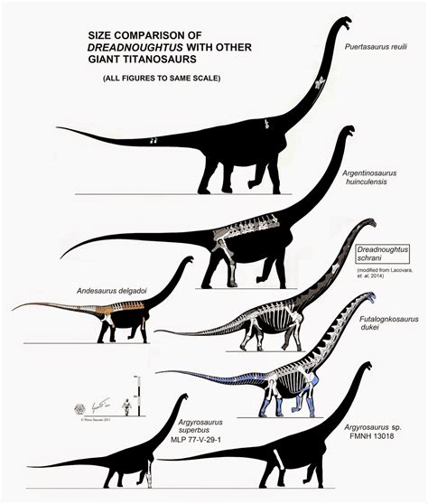 I combined some images to illustrate the size of the largest known terrestrial mammal. It is an ...