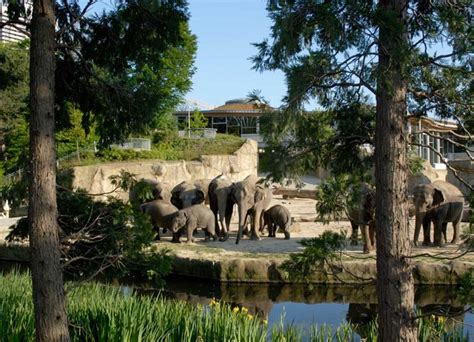Freizeit-Guide | Die schönsten Zoos Deutschlands | Der Varta-Führer