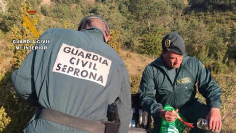 El Seprona Investiga La Muerte De Un Perro Clavado En Una Verja Tras