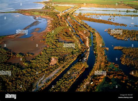 Marshland Along The Etang De Vaccares Lagoon Regional Nature Park Of