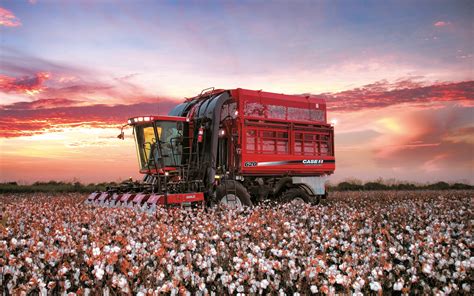 Cotton Field Wallpapers Wallpaper Cave