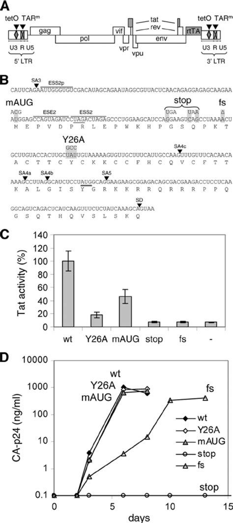 Mutations In Tat A Schematic Of The Hiv Rtta Proviral Dna Genome