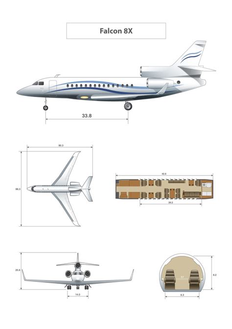 Dassault Falcon 8x Bloom Business Jets