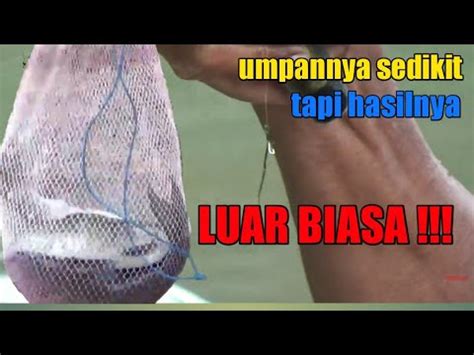 Panen Ikan Nilem Melem Di Spot Mancing Yang Ditinggalkan Youtube