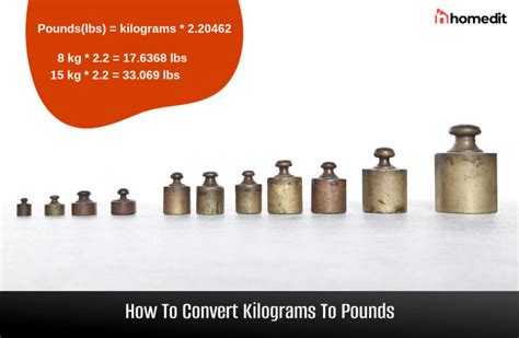 Kg To Lbs Convert Kg To Pounds