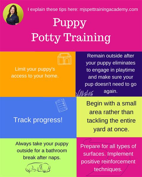 Top 5 Simple Tips for Quick Puppy Potty Training Success! - Hunter Games Magazine